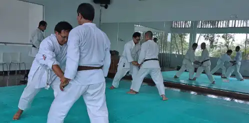 UKM Aikido di STAN